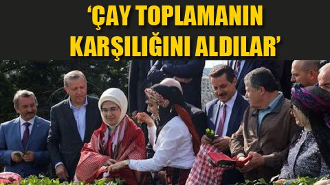 Danıştay’ın 24 üyesini Erdoğan seçecek